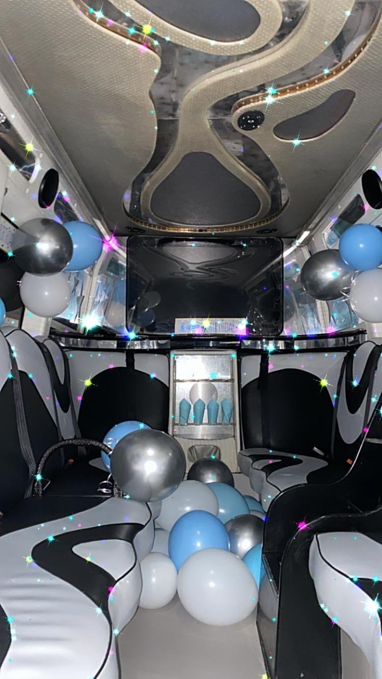 volkswagen party bus interior
