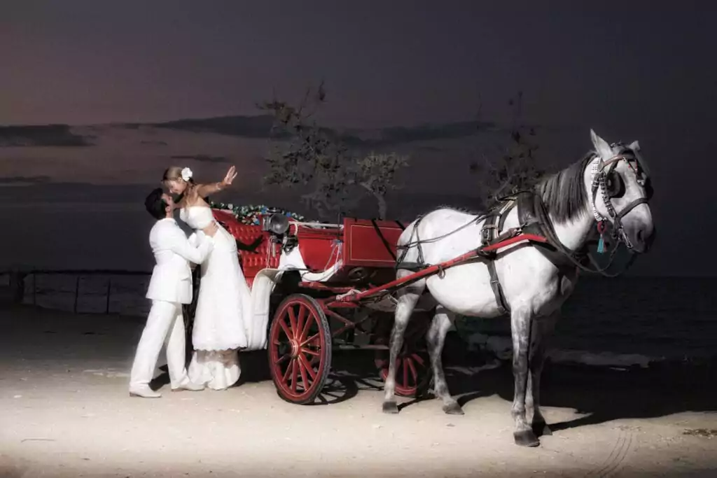 wedding horse and carriage hire london